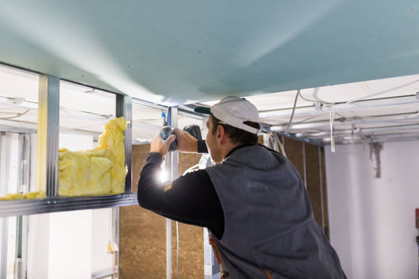 Best Insulation Replacement Services  in Pleasanton, CA